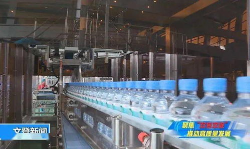 管家式服務(wù)助力健康生態(tài)飲品項目落地生根 科技中介服務(wù)的創(chuàng)新實踐